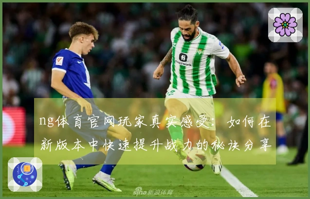 ng体育官网玩家真实感受：如何在新版本中快速提升战力的秘诀分享