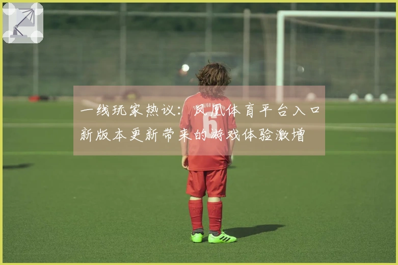 一线玩家热议：凤凰体育平台入口新版本更新带来的游戏体验激增