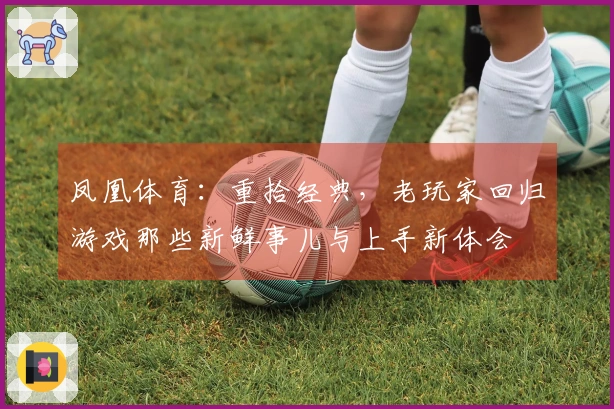 凤凰体育：重拾经典，老玩家回归游戏那些新鲜事儿与上手新体会