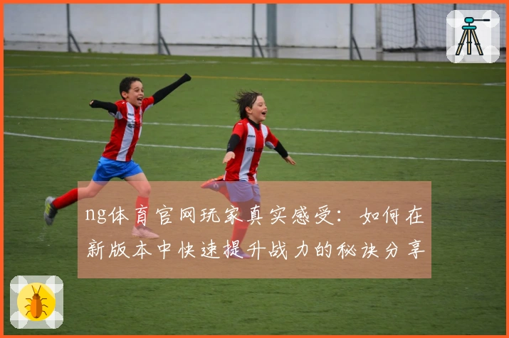 ng体育官网玩家真实感受：如何在新版本中快速提升战力的秘诀分享